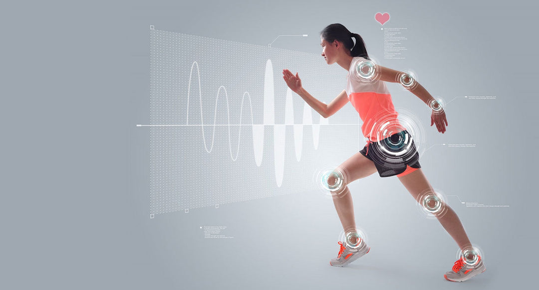 Knees Joint in the Body